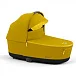 Mustard Yellow