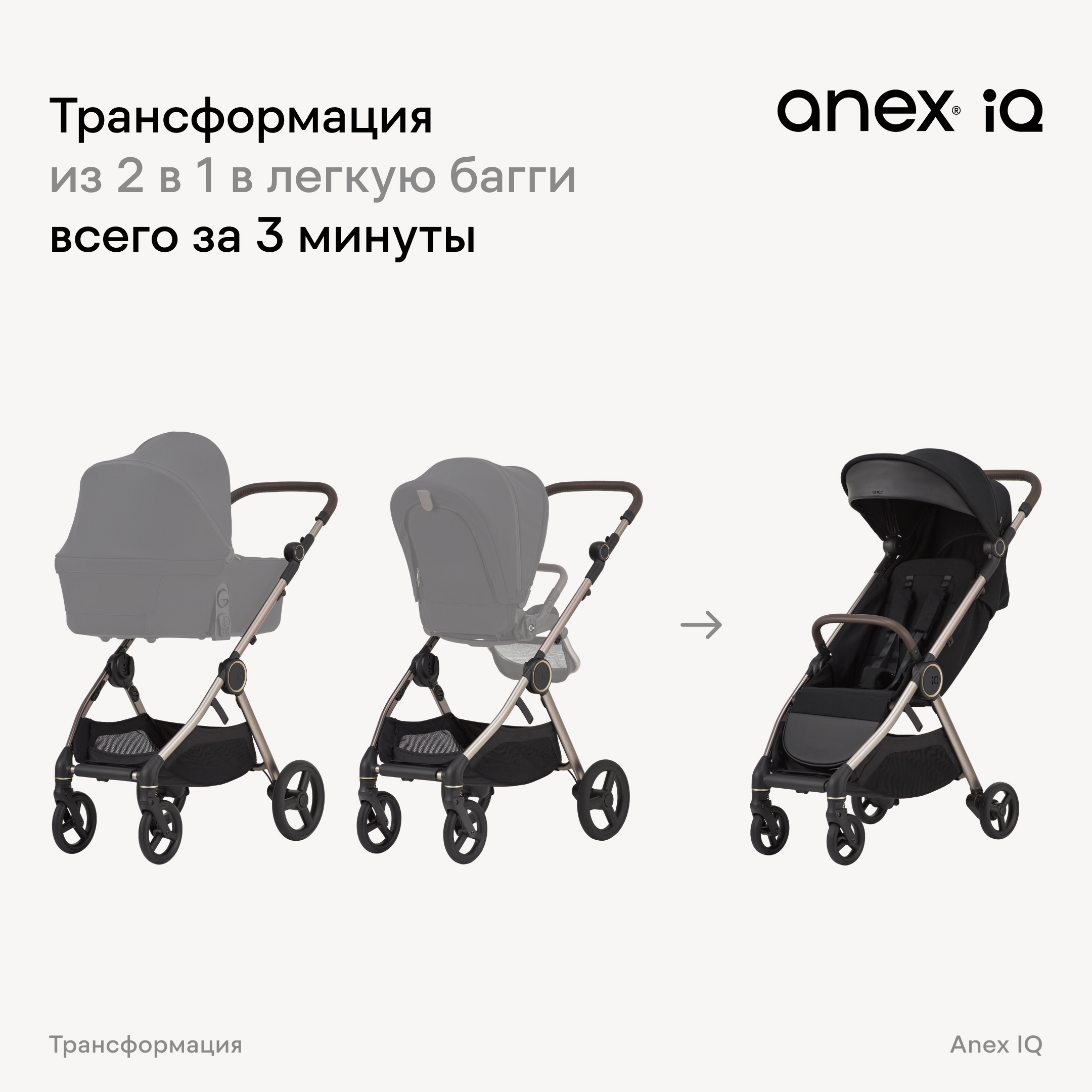 Коляска 2в1 Anex IQ Basic NEW 21