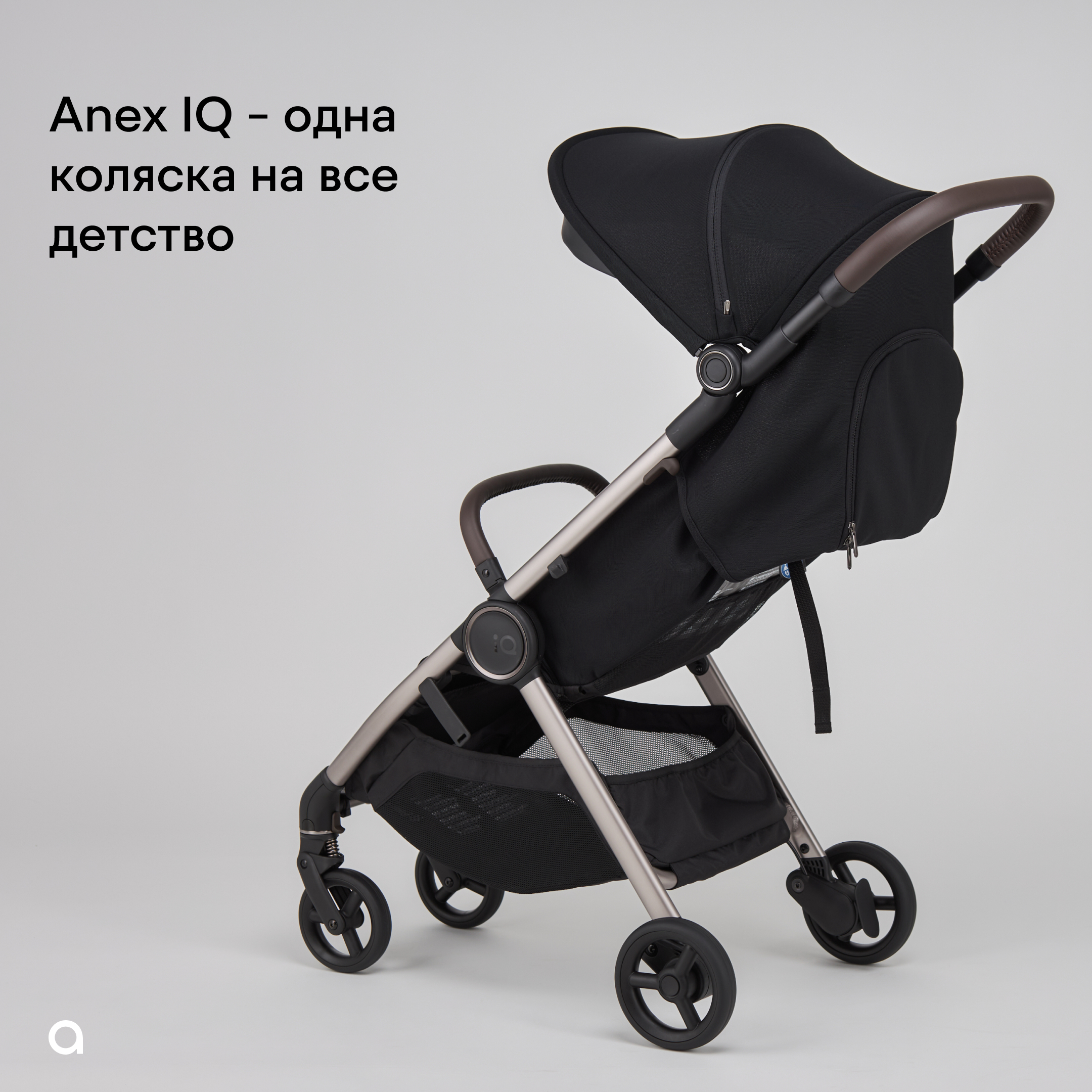 Коляска 2в1 Anex IQ Basic NEW 25