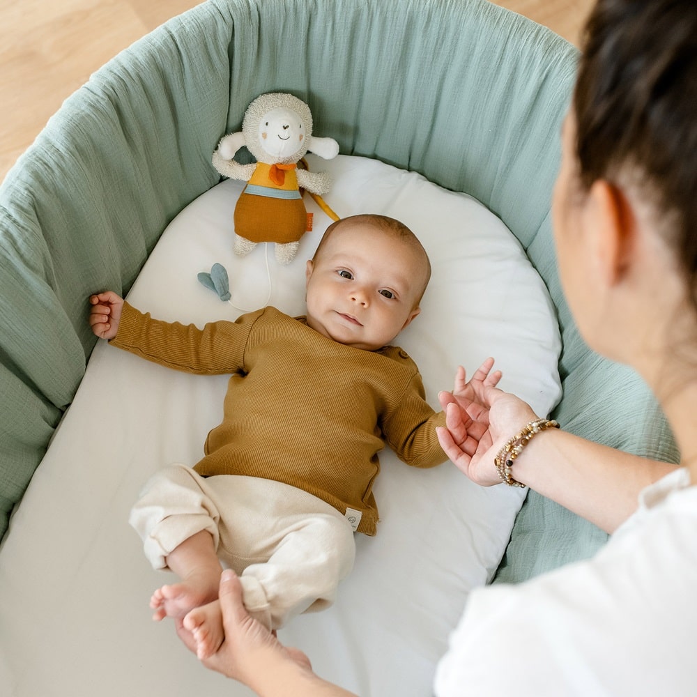 048018_43_min Музыкальная игрушка-подвеска FEHN Овечка 4