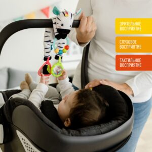 049077_2 Развивающая игрушка FEHN Зебра 9