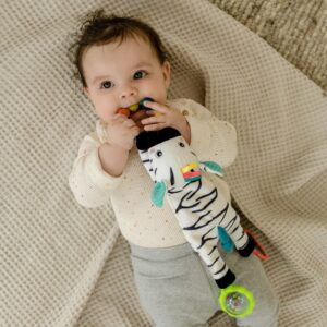 049077_42_min Развивающая игрушка FEHN Зебра 12