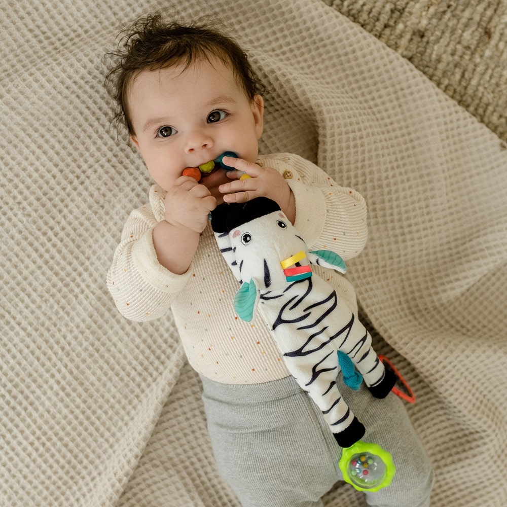 049077_42_min Развивающая игрушка FEHN Зебра 5