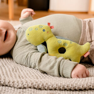 051117_41 Мягкая погремушка-кольцо FEHN Динозавр 8