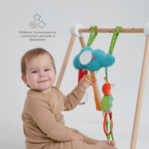 1271000_3101082 Развивающая подвесная игрушка Happy Baby ОБЛАКО С ПЧЁЛКОЙ 20