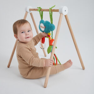 1271000_3101089 Развивающая подвесная игрушка Happy Baby ОБЛАКО С ПЧЁЛКОЙ 24