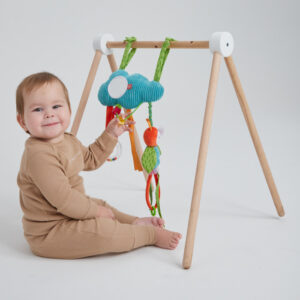 1271000_3101094 Развивающая подвесная игрушка Happy Baby ОБЛАКО С ПЧЁЛКОЙ 27