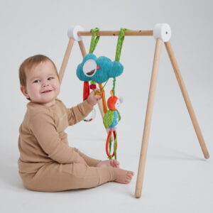 1271000_3127649 Развивающая подвесная игрушка Happy Baby ОБЛАКО С ПЧЁЛКОЙ 28