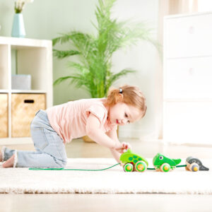 Каталка для малышей Hape "Семья лягушек на прогулке" 14