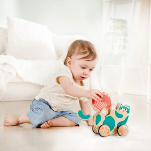 1331190_3249057 Каталка-погремушка Hape "Игривый котенок" 13