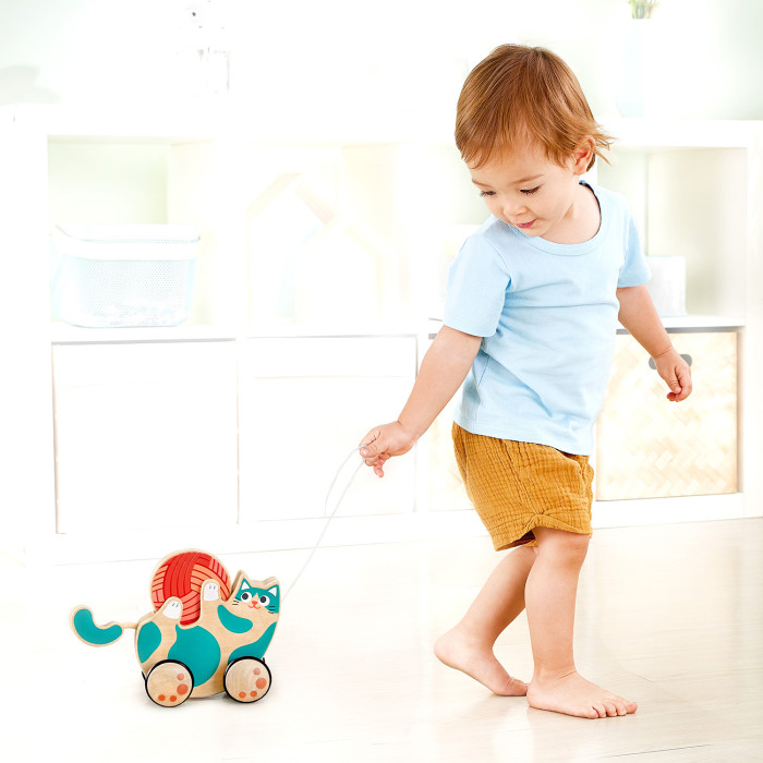 1331190_3249059 Каталка-погремушка Hape "Игривый котенок" 6