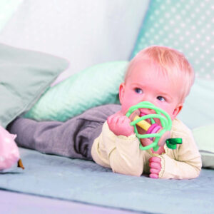 1331351_3249574 Игрушка-погремушка Hape "Яблоко" 6