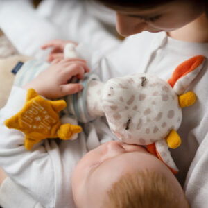 4jlron3fhu50nml4125aczd0pwj7em9t Игрушка-комфортер FEHN Жираф светящийся в темноте 14