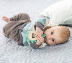 Игрушка для новорожденных Hape прорезыватель "Ежик" 5