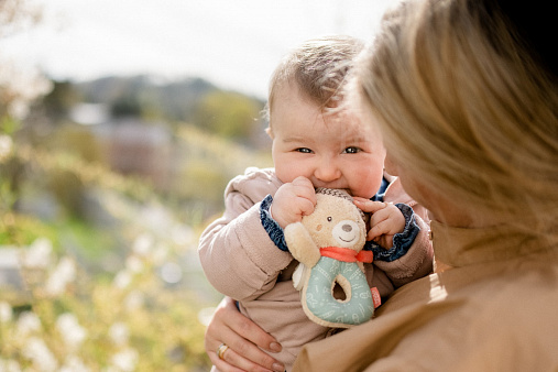 image_060164_ring_greifling_bear_08_kl_insta_min Мягкая погремушка-кольцо FEHN Мишка Бруно 2
