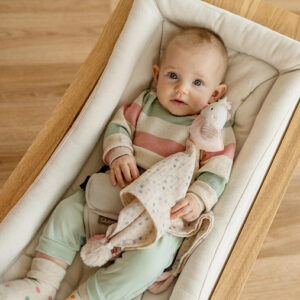 045031_40 Игрушка-комфортер из муслина FEHN Птичка 6