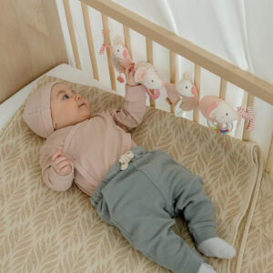 Погремушка-растяжка на коляску/кроватку FEHN Сказочная страна 6