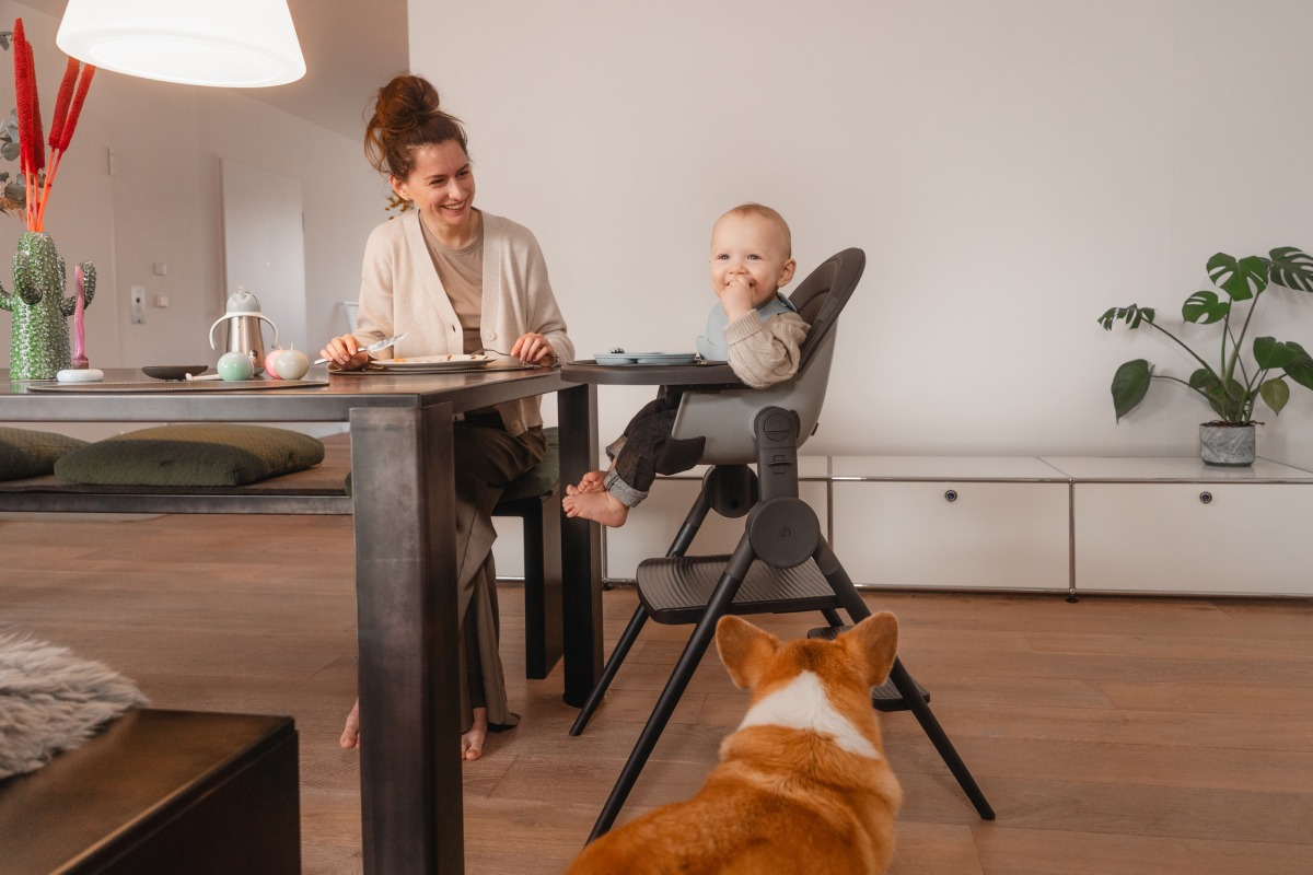 Стул-трансформер для кормления ANEX OZY 32