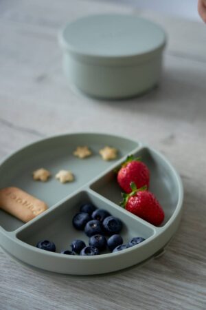 20240620_Edda_4835 (1) Секционная тарелка на присоске Edda, Пудра 11