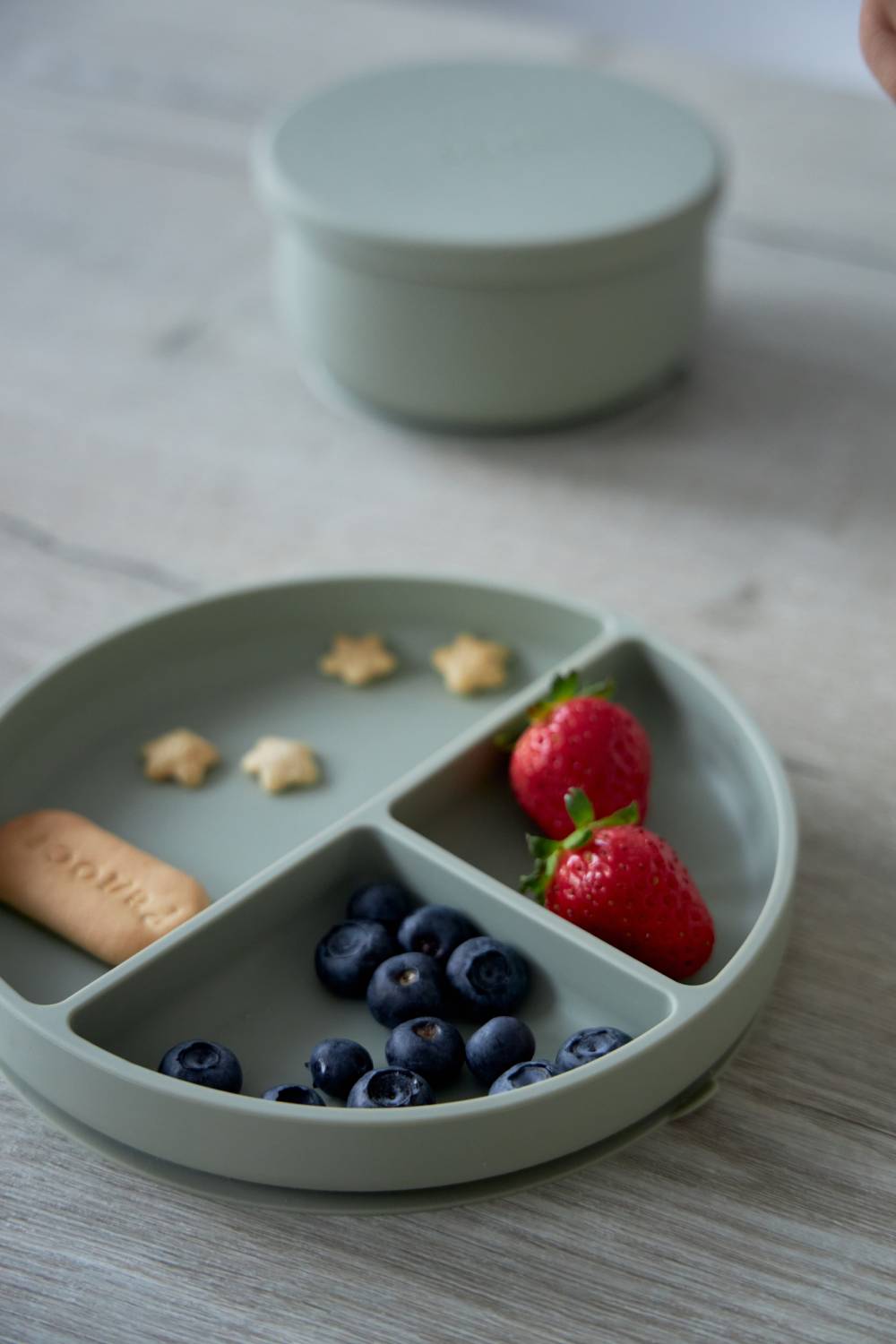 20240620_Edda_4835 (1) Секционная тарелка на присоске Edda, Пудра 4