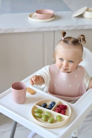 20240905-Rocket-Kids-Edda0452 (2) Секционная тарелка на присоске Edda, Пудра 9