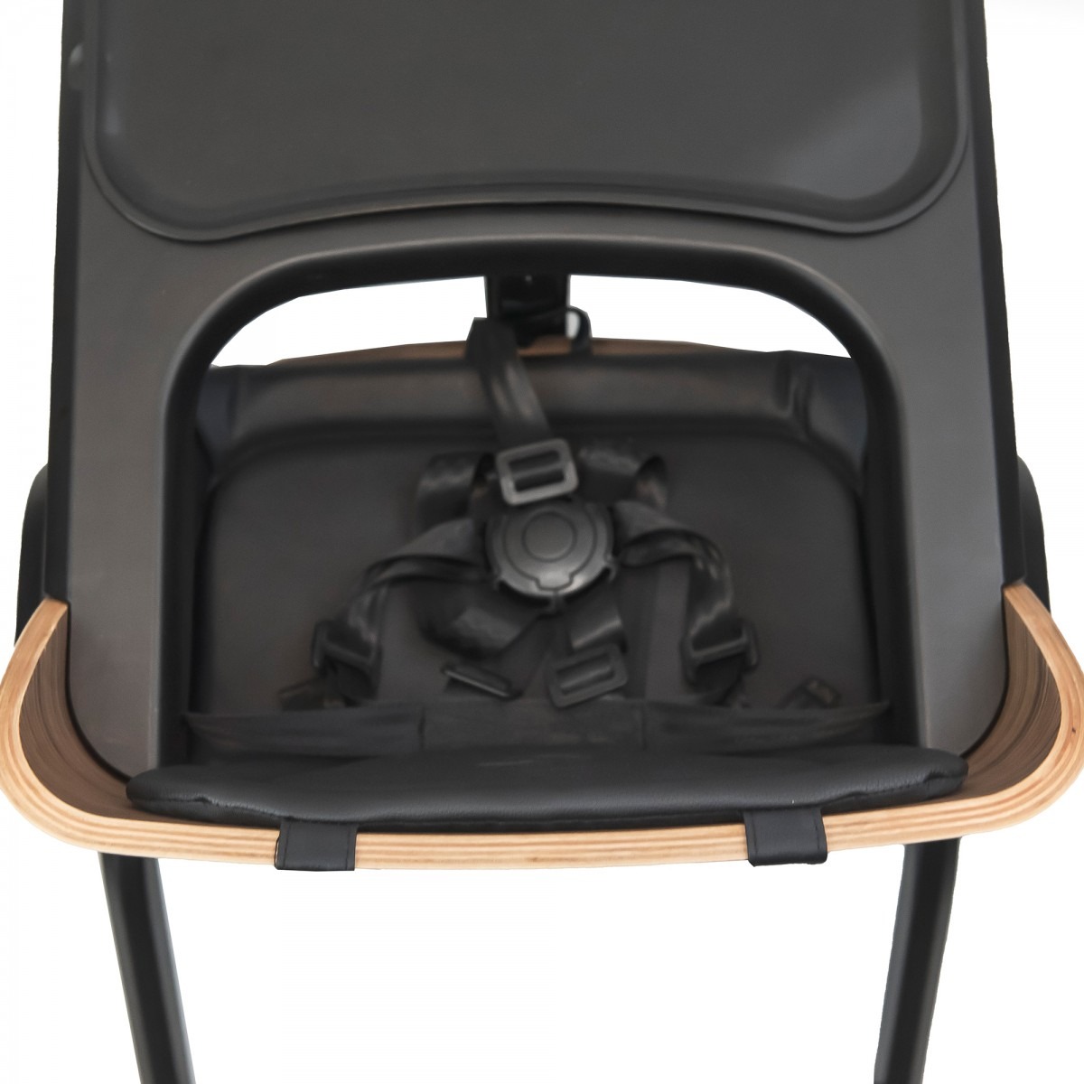 28576_21_9vr Стульчик для кормления Espiro PURE 21