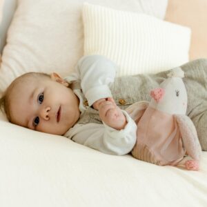 Игрушка-грелка FEHN с виноградными косточками Птичка 7 игрушка грелка с виноградными косточками птичка