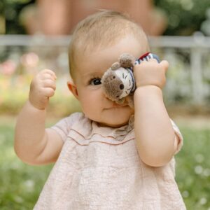 Погремушка FEHN Тео