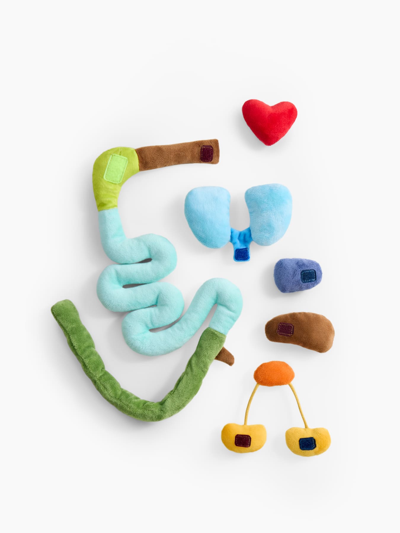 Мягкая игрушка Happy Baby ,FUNNY ANATOMY «ФАНИ АНАТОМИ» 7 Мягкая игрушка Happy Baby ,FUNNY ANATOMY «ФАНИ АНАТОМИ»