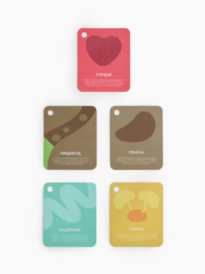 Мягкая игрушка Happy Baby ,FUNNY ANATOMY «ФАНИ АНАТОМИ» 20 Мягкая игрушка Happy Baby ,FUNNY ANATOMY «ФАНИ АНАТОМИ»