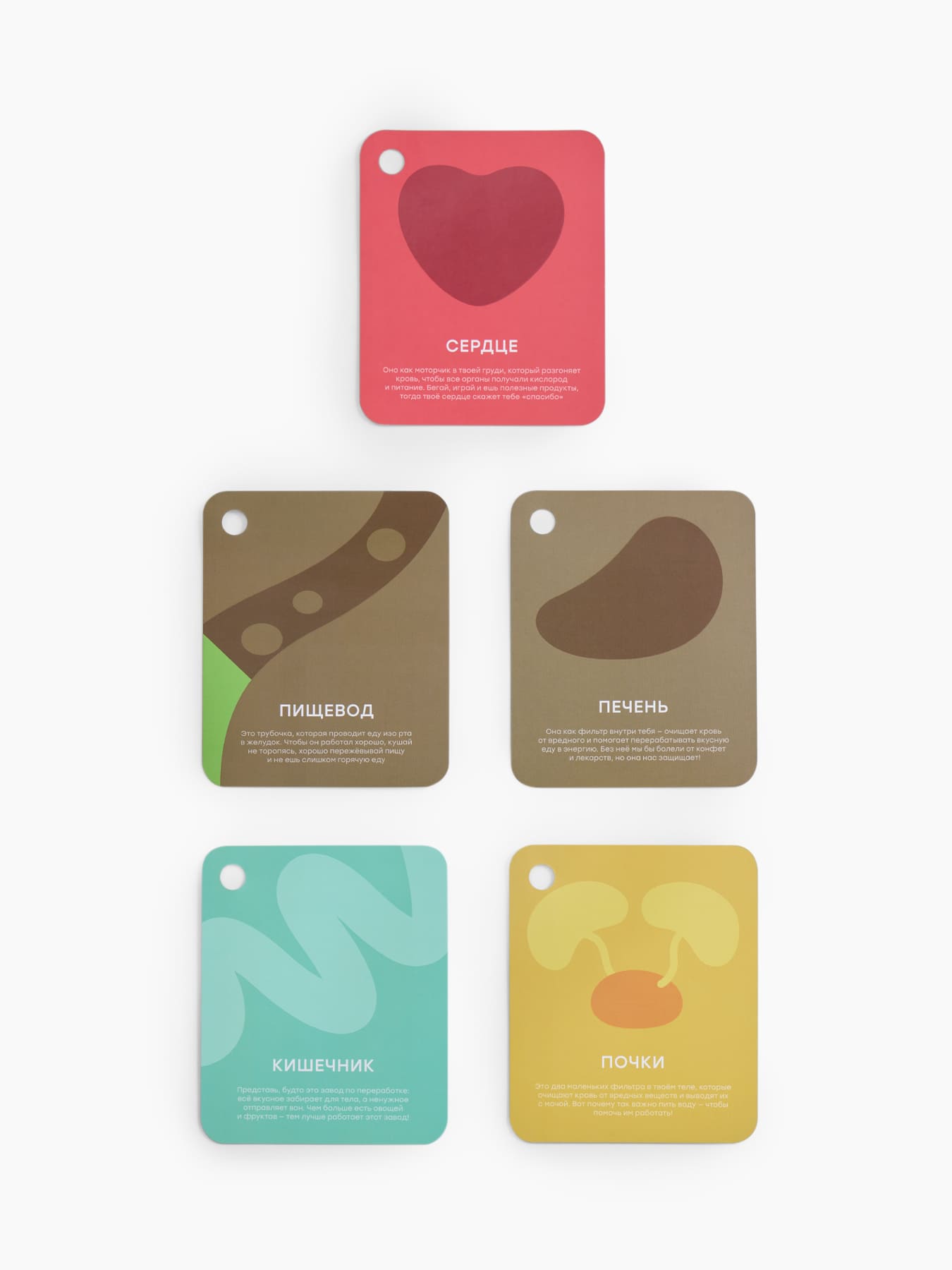 Мягкая игрушка Happy Baby ,FUNNY ANATOMY «ФАНИ АНАТОМИ» 8 Мягкая игрушка Happy Baby ,FUNNY ANATOMY «ФАНИ АНАТОМИ»