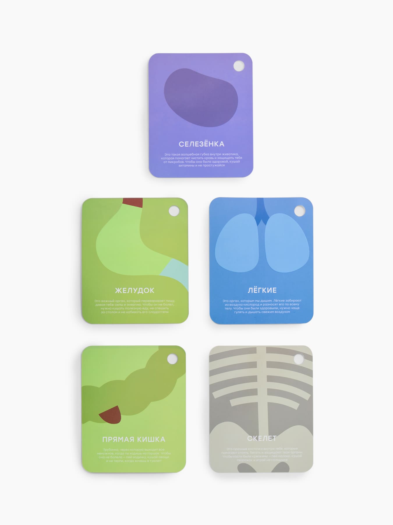 Мягкая игрушка Happy Baby ,FUNNY ANATOMY «ФАНИ АНАТОМИ» 9 Мягкая игрушка Happy Baby ,FUNNY ANATOMY «ФАНИ АНАТОМИ»