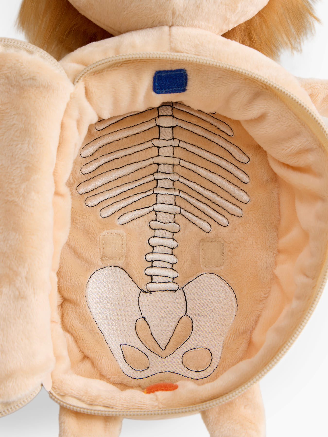 Мягкая игрушка Happy Baby ,FUNNY ANATOMY «ФАНИ АНАТОМИ» 10 Мягкая игрушка Happy Baby ,FUNNY ANATOMY «ФАНИ АНАТОМИ»