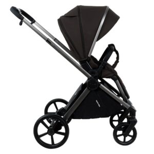 Коляска 2 в 1 Pituso Teffy