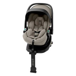 Автокресло группы 0+ Sweet Baby Premier Plus WG06 Pro+WG10